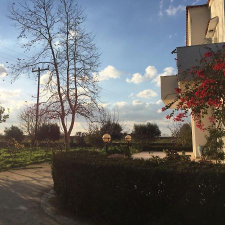 Swan House Panoramic View - Near The Sea Villa Ziparion ภายนอก รูปภาพ