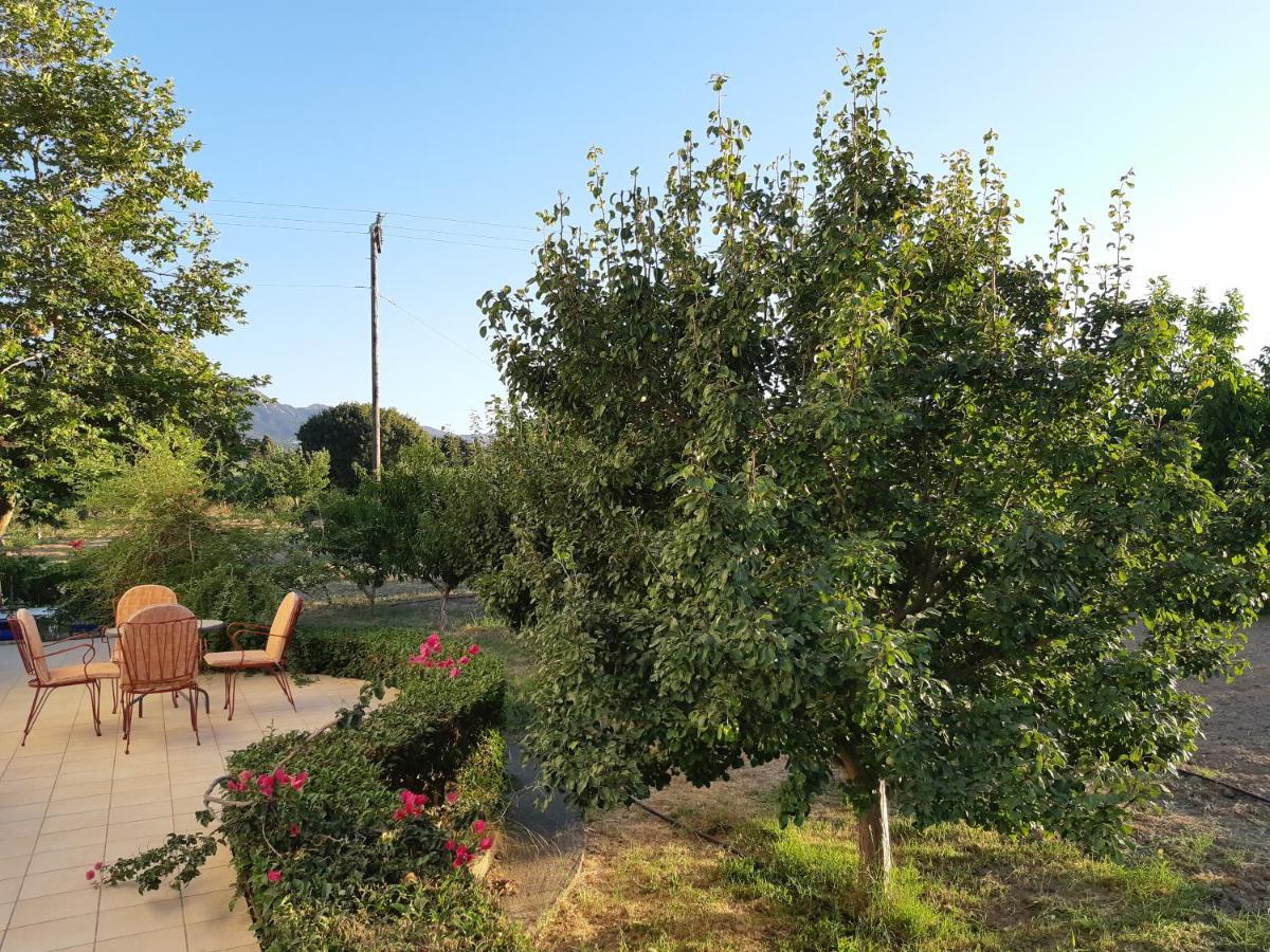 Swan House Panoramic View - Near The Sea Villa Ziparion ภายนอก รูปภาพ