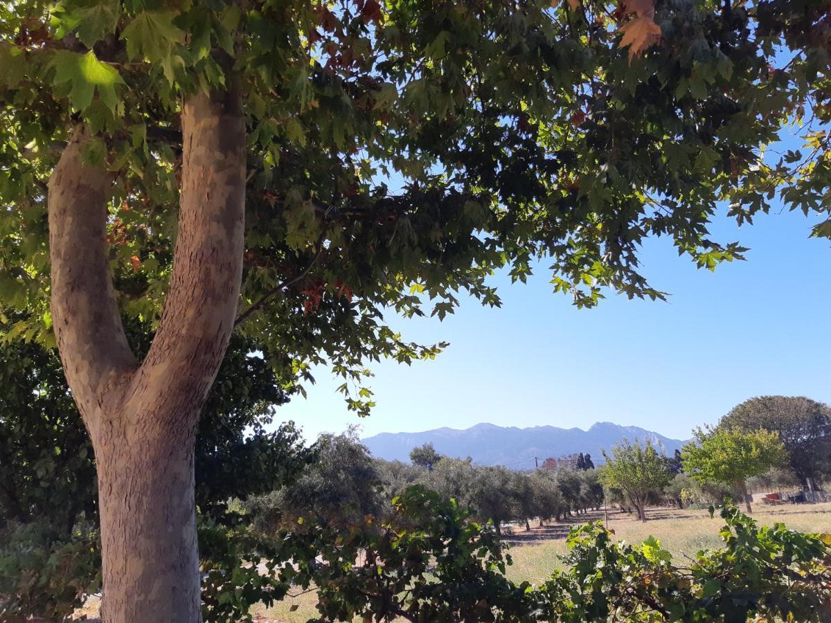 Swan House Panoramic View - Near The Sea Villa Ziparion ภายนอก รูปภาพ