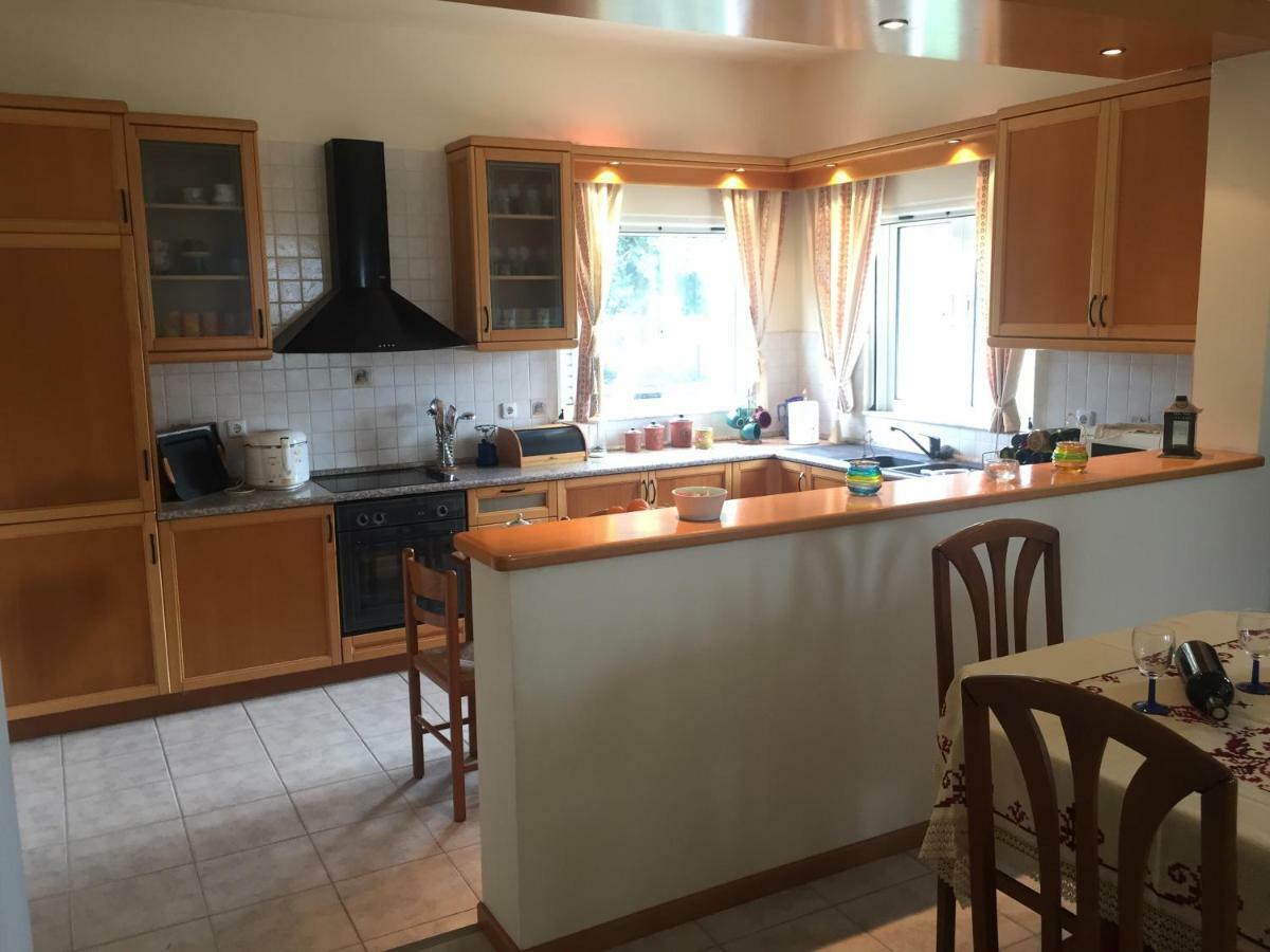 Swan House Panoramic View - Near The Sea Villa Ziparion ภายนอก รูปภาพ