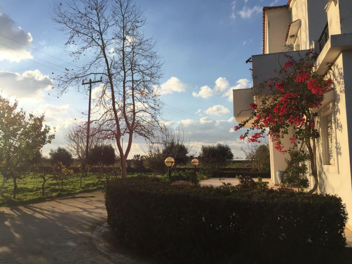 Swan House Panoramic View - Near The Sea Villa Ziparion ภายนอก รูปภาพ